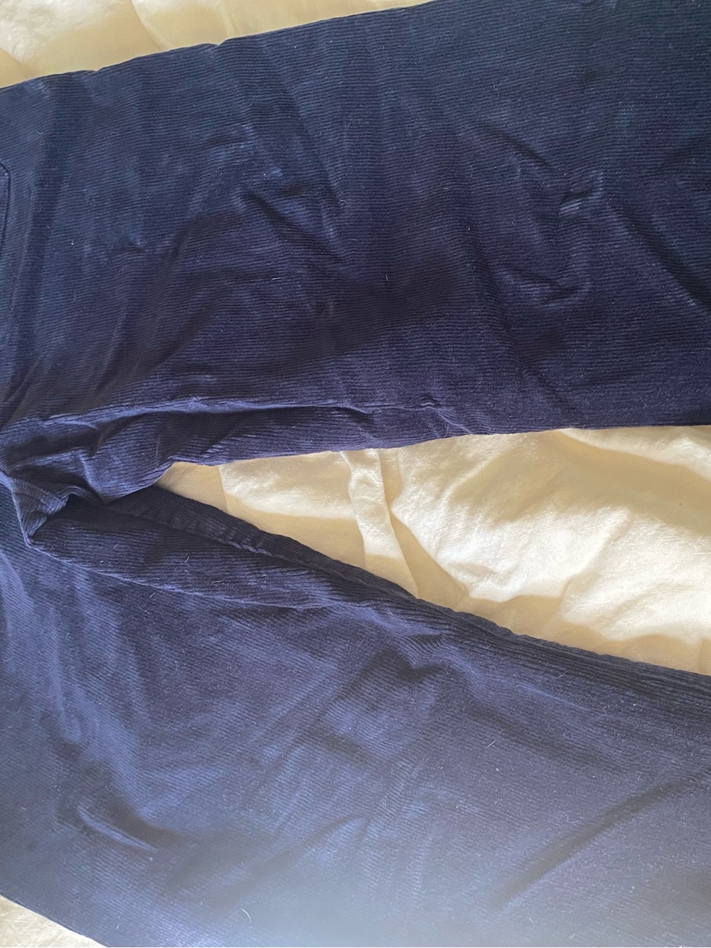QUINCE Navy Corduroy Pant 14 - Picture 7 of 9